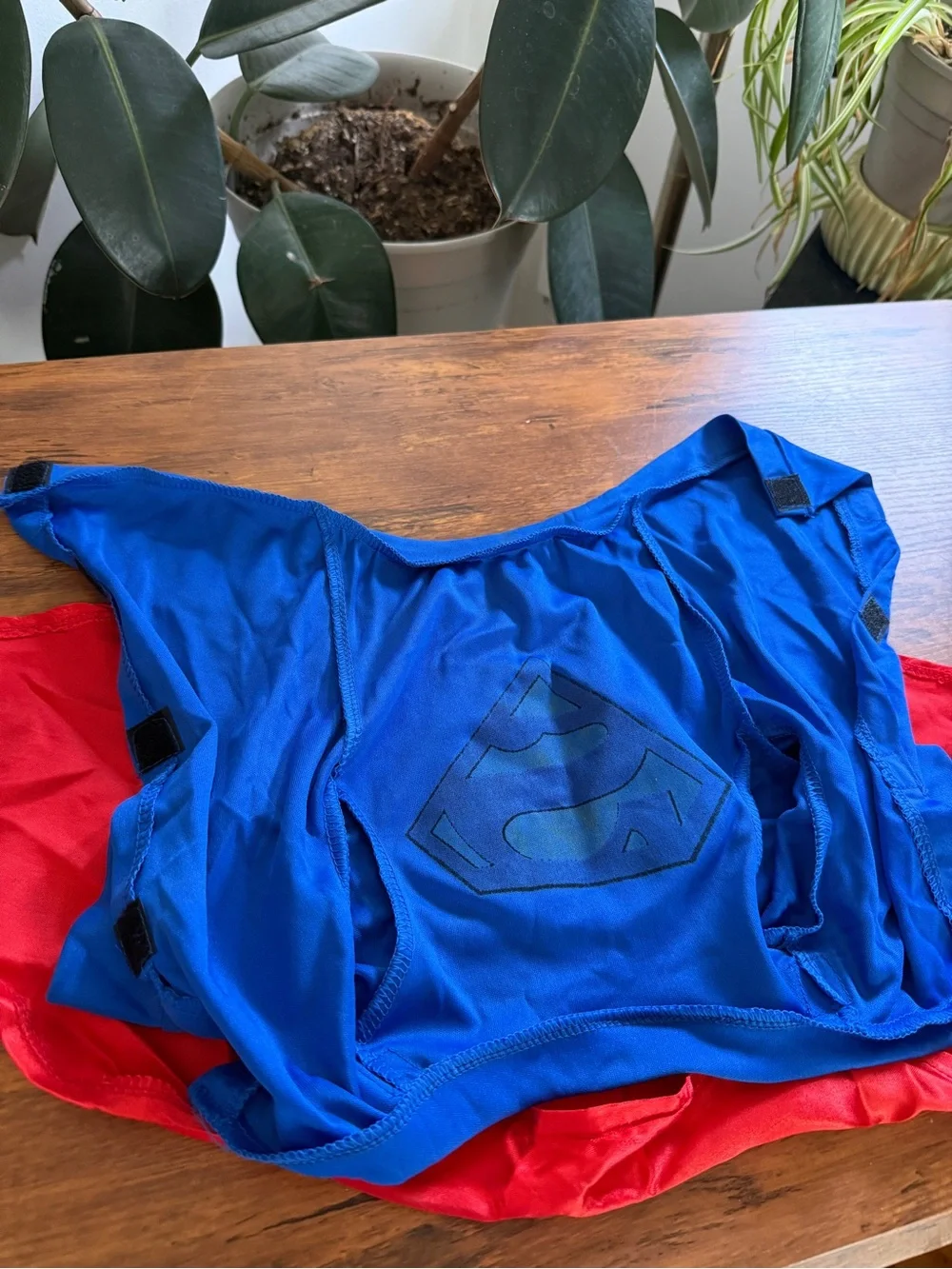 Small dog pet Superman Halloween costume